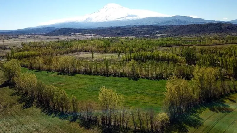 6 soruda 2B arazilerinde mülkiyet hakları ve tapu süreci! Detaylar belli oldu