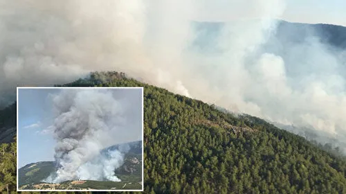 Balıkesir'de Orman Yangını! Alevler Kontrol Altına Alınacak Mı?