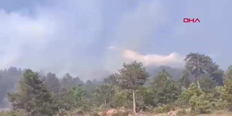 Balıkesir'de Orman Yangını! Alevlere Havadan Müdahale Başladı