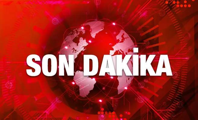 Erdoğan'dan TOGG Açıklaması: Pazar Liderliği Gerçeği mi?