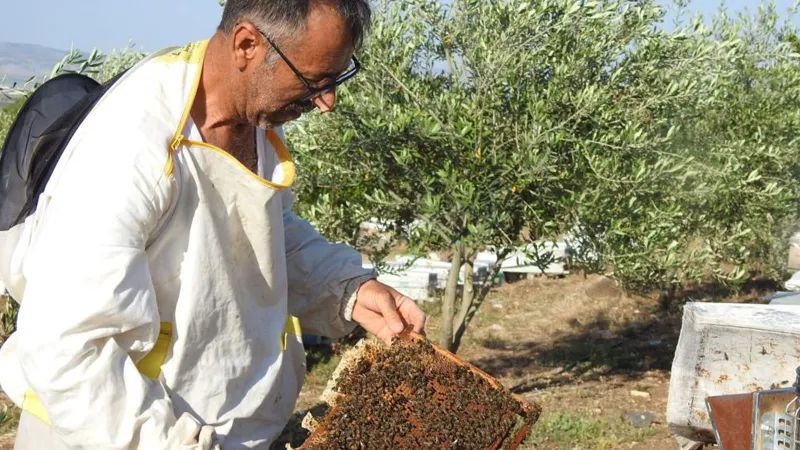 Annesine Bal Şifa Oldu! 2 Arıyla Başladı, 2 Ton Üretiyor