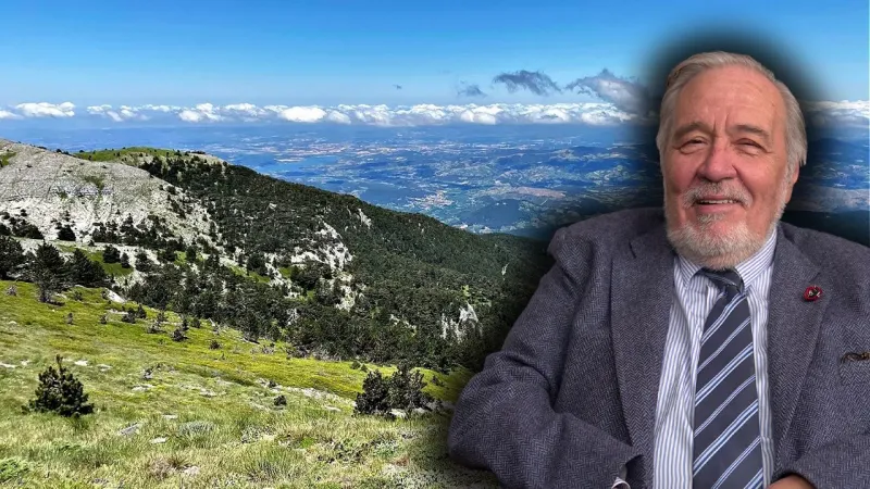 İlber Ortaylı'dan Kaz Dağları Feryadı: Yağma Var!