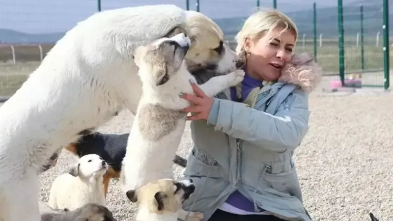 Köpekperestlerin 18 milyonluk zincirleme vurgunu! Buket Özgünlü ve akrabalarına istenen ceza belli oldu: Mama şirketleri de işin içinde