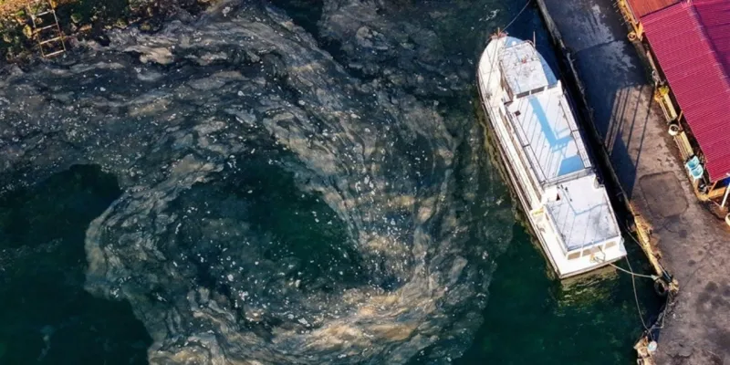 Marmara'da Müsilaj Kabusu Geri mi Dönüyor? Yaz Alarmı!