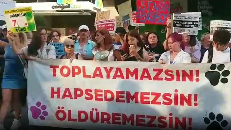 AYM Önünde Yaşam Nöbeti: Sokaktayım Yanındayım'dan Çağrı!