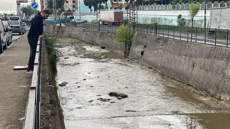 Rize'de Derede Balık Katliamı! Sebebi Ne?